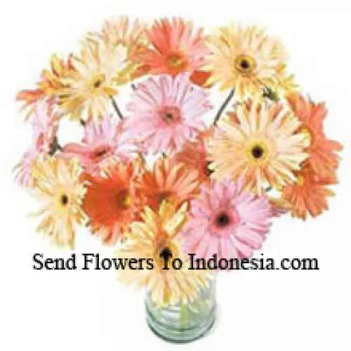 24 Mixed Colored Gerberas In A Vase