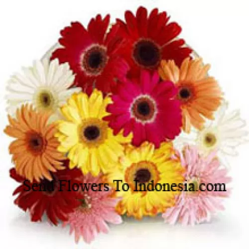 Bunch Of 12 Assorted Colored Gerberas