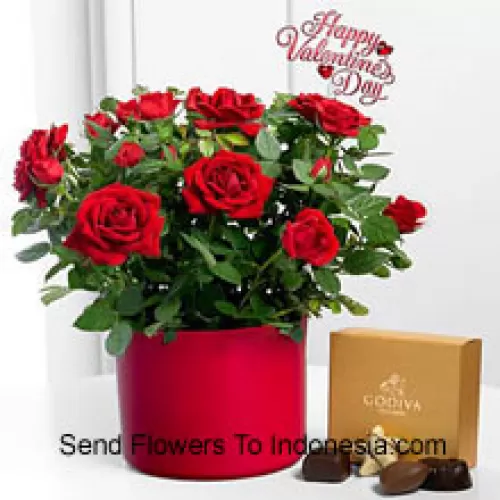 24 Rosas Rojas con algunos helechos en un gran jarrón y una caja de chocolates Godiva (Nos reservamos el derecho de sustituir los chocolates Godiva por chocolates de igual valor en caso de no estar disponibles. Stock limitado)