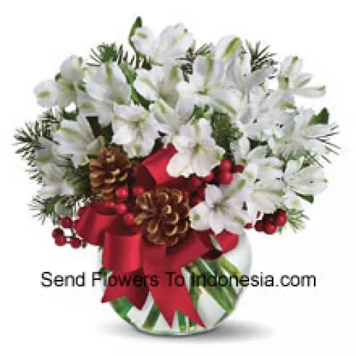 Share the magic of a white Christmas with this cheery bouquet of snowy white alstroemeria blossoms arranged in vase with festive holiday trim. (Please Note That We Reserve The Right To Substitute Any Product With A Suitable Product Of Equal Value In Case Of Non-Availability Of A Certain Product)